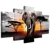 Artgeist Paveikslas - Elephant at Sunset