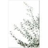 Artgeist Paveikslas - Eucalyptus Parvifolia (1 Part) Vertical