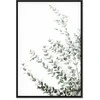Artgeist Paveikslas - Eucalyptus Parvifolia (1 Part) Vertical