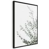Artgeist Paveikslas - Eucalyptus Parvifolia (1 Part) Vertical