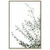 Artgeist Paveikslas - Eucalyptus Parvifolia (1 Part) Vertical