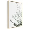 Artgeist Paveikslas - Eucalyptus Parvifolia (1 Part) Vertical