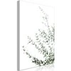 Artgeist Paveikslas - Eucalyptus Parvifolia (1 Part) Vertical