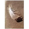 Artgeist Paveikslas - Feather on the Sand (1 Part) Vertical