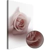 Artgeist Paveikslas - Floral Glamour Glow (1-part) - Delicate and Pastel Rožinė Rose