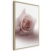 Artgeist Paveikslas - Floral Glamour Glow (1-part) - Delicate and Pastel Rožinė Rose