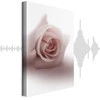 Artgeist Paveikslas - Floral Glamour Glow (1-part) - Delicate and Pastel Rožinė Rose