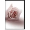 Artgeist Paveikslas - Floral Glamour Glow (1-part) - Delicate and Pastel Rožinė Rose
