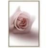 Artgeist Paveikslas - Floral Glamour Glow (1-part) - Delicate and Pastel Rožinė Rose