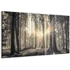 Artgeist Paveikslas - Forest Sun