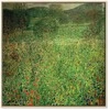 Artgeist Paveikslas - Gustav Klimt – The Garden