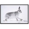 Artgeist Paveikslas - Hare (1 Part) Wide