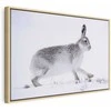 Artgeist Paveikslas - Hare (1 Part) Wide