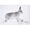 Artgeist Paveikslas - Hare (1 Part) Wide