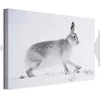 Artgeist Paveikslas - Hare (1 Part) Wide