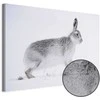 Artgeist Paveikslas - Hare (1 Part) Wide