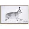 Artgeist Paveikslas - Hare (1 Part) Wide