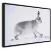 Artgeist Paveikslas - Hare (1 Part) Wide