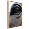 Artgeist Paveikslas - Honest Eyes (1 Part) Vertical
