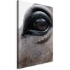 Artgeist Paveikslas - Honest Eyes (1 Part) Vertical