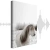 Artgeist Paveikslas - Horse Mane (1 Part) Vertical