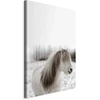 Artgeist Paveikslas - Horse Mane (1 Part) Vertical