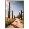 Artgeist Paveikslas - Italian cypresses (1 Part) Vertical