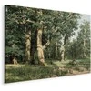 Artgeist Paveikslas - Ivan Shishkin – Oak Forest