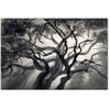 Artgeist Paveikslas - Lighted Branches (1 Part) Wide