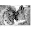 Artgeist Paveikslas - Lion's Love