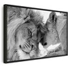 Artgeist Paveikslas - Lion's Love