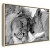 Artgeist Paveikslas - Lion's Love