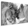 Artgeist Paveikslas - Lion's Love