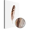 Artgeist Paveikslas - Magic Feather (1 Part) Vertical
