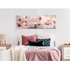 Artgeist Paveikslas - Magnolia Charm (1 Part) Narrow