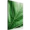 Artgeist Paveikslas - Malachite Leaf (1 Part) Vertical