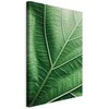 Artgeist Paveikslas - Malachite Leaf (1 Part) Vertical