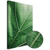 Artgeist Paveikslas - Malachite Leaf (1 Part) Vertical