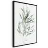 Artgeist Paveikslas - Nicholia Eucalyptus (1 Part) Vertical