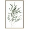 Artgeist Paveikslas - Nicholia Eucalyptus (1 Part) Vertical