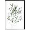 Artgeist Paveikslas - Nicholia Eucalyptus (1 Part) Vertical
