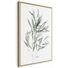 Artgeist Paveikslas - Nicholia Eucalyptus (1 Part) Vertical