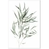 Artgeist Paveikslas - Nicholia Eucalyptus (1 Part) Vertical