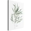 Artgeist Paveikslas - Nicholia Eucalyptus (1 Part) Vertical