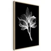 Artgeist Paveikslas - Night Flower (1 Part) Vertical