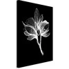 Artgeist Paveikslas - Night Flower (1 Part) Vertical