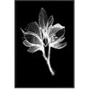 Artgeist Paveikslas - Night Flower (1 Part) Vertical