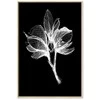 Artgeist Paveikslas - Night Flower (1 Part) Vertical
