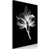 Artgeist Paveikslas - Night Flower (1 Part) Vertical