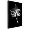 Artgeist Paveikslas - Night Flower (1 Part) Vertical